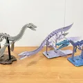 [3Dino Puzzle] Khủng long cổ đại Plesiosaurus - Thumbnail 8