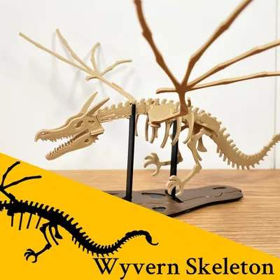 [Fantasy & Primal] Bộ xương Wyvern