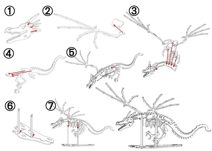 [Fantasy & Primal] Bộ xương Wyvern - Image 2