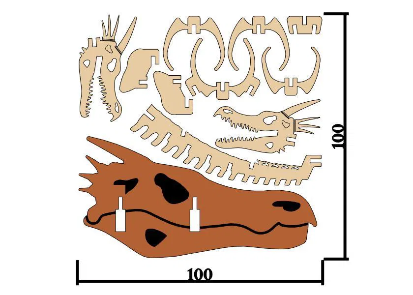[Fantasy & Primal] Bộ xương Wyvern - Image 4
