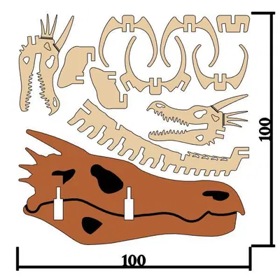 [Fantasy & Primal] Bộ xương Wyvern