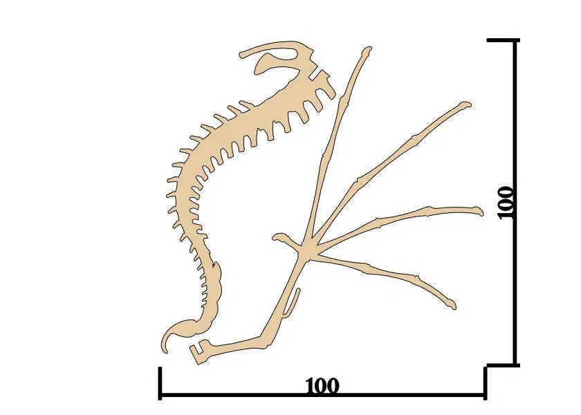 [Fantasy & Primal] Bộ xương Wyvern - Image 6
