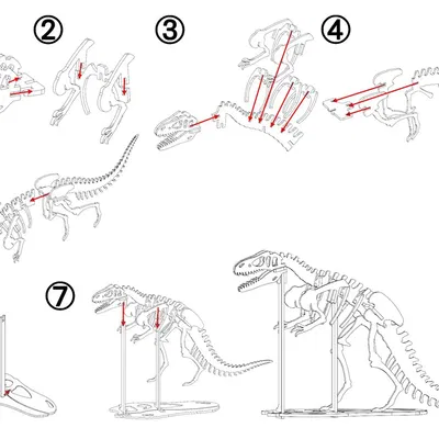 [3Dino Puzzle] Allosaurus Phong Cách Cổ Điển
