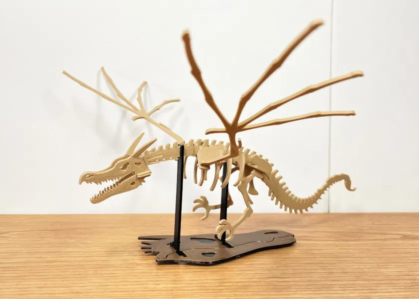 [Fantasy & Primal] Bộ xương Wyvern - Image 8