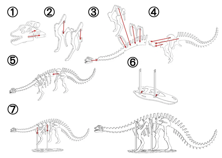 [3Dino Puzzle] Khủng long Brontosaurus (Apatosaurus cổ điển) - Image 2