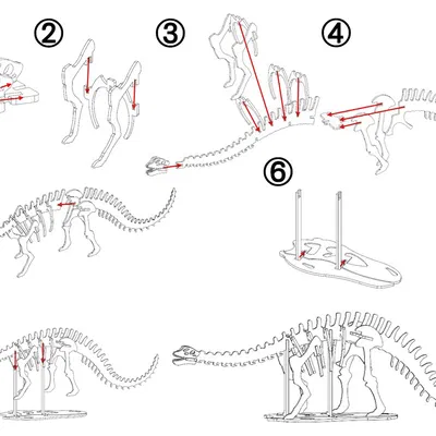 [3Dino Puzzle] Khủng long Brontosaurus (Apatosaurus cổ điển)