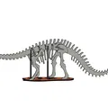 [3Dino Puzzle] Khủng long Brontosaurus (Apatosaurus cổ điển) - Thumbnail 3