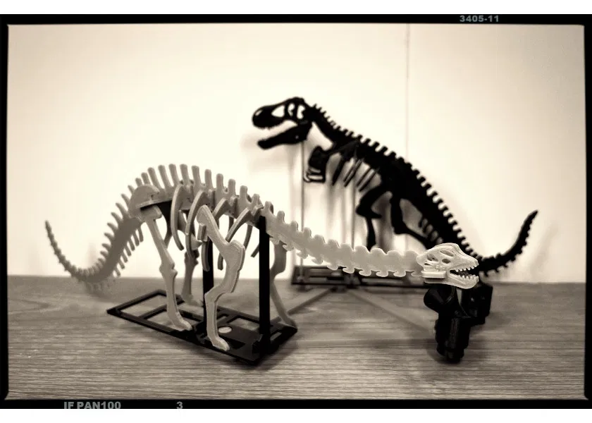 [3Dino Puzzle] Khủng long Brontosaurus (Apatosaurus cổ điển) - Image 7