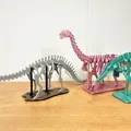 [3Dino Puzzle] Khủng long Brontosaurus (Apatosaurus cổ điển) - Thumbnail 8
