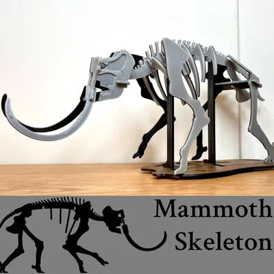 [Fantasy & Primal] Bộ xương Khủng long Ma mút