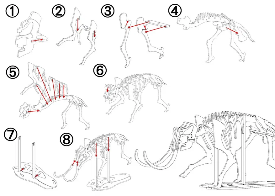 [Fantasy & Primal] Bộ xương Khủng long Ma mút - Image 2