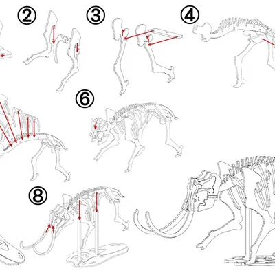 [Fantasy & Primal] Bộ xương Khủng long Ma mút