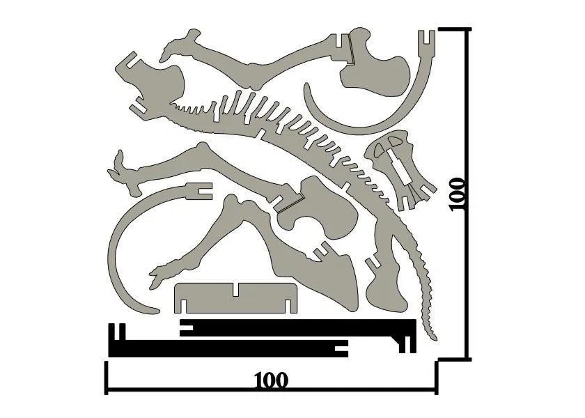 [Fantasy & Primal] Bộ xương Khủng long Ma mút - Image 5
