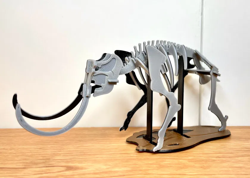 [Fantasy & Primal] Bộ xương Khủng long Ma mút - Image 7