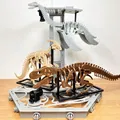[3Dino Puzzle] Khủng long Parasaurolophus Phong Cách Cổ Điển - Thumbnail 8