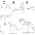 [3Dino Puzzle] Khủng Long Bạo Chúa T-Rex Phong Cách Cổ Điển - Thumbnail 2