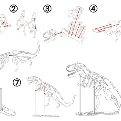 [3Dino Puzzle] Khủng Long Bạo Chúa T-Rex Phong Cách Cổ Điển