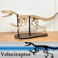 [3Dino Puzzle] Khủng Long Bạo Chúa Velociraptor - Thumbnail 1