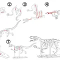 [3Dino Puzzle] Khủng Long Bạo Chúa Velociraptor - Thumbnail 2