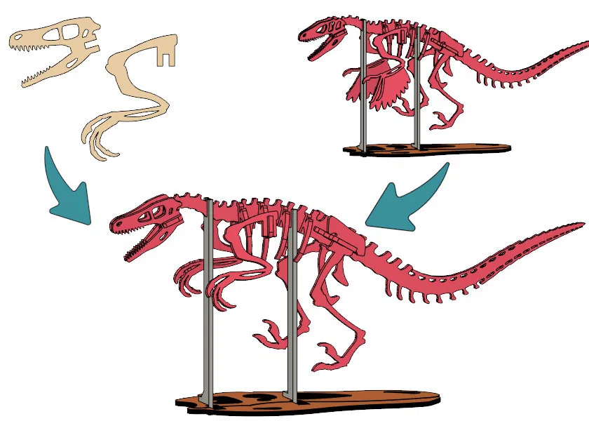 [3Dino Puzzle] Khủng Long Bạo Chúa Velociraptor - Image 7