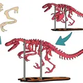 [3Dino Puzzle] Khủng Long Bạo Chúa Velociraptor - Thumbnail 7