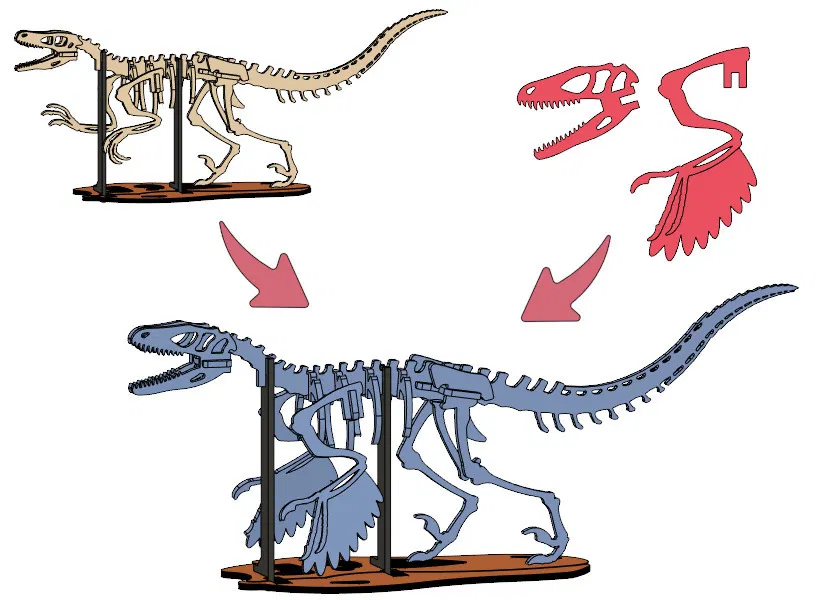 [3Dino Puzzle] Khủng Long Bạo Chúa Velociraptor - Image 8