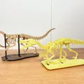 [3Dino Puzzle] Khủng Long Bạo Chúa Velociraptor - Thumbnail 10