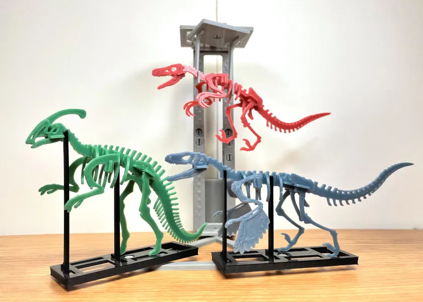 [3Dino Puzzle] Khủng Long Bạo Chúa Velociraptor - Image 12