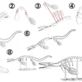 [3Dino Puzzle] Tylosaurus Phong Cách Cổ Điển - Thumbnail 2