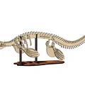 [3Dino Puzzle] Tylosaurus Phong Cách Cổ Điển - Thumbnail 3