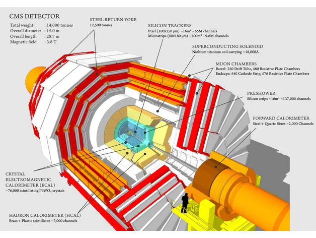 Mô hình Máy dò CMS của CERN - Image 4