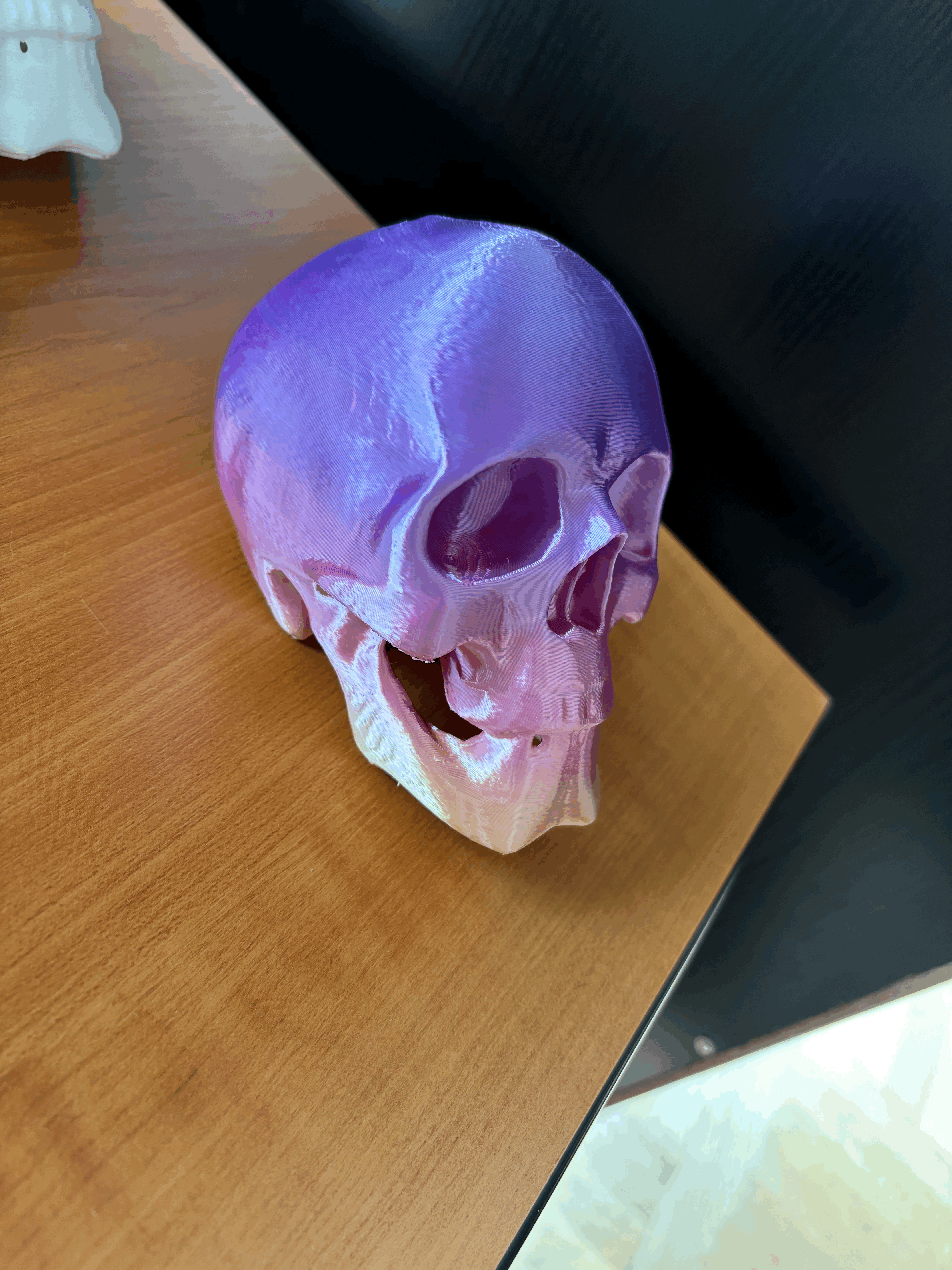 Mô Hình Đầu Lâu - Thumbnail 1