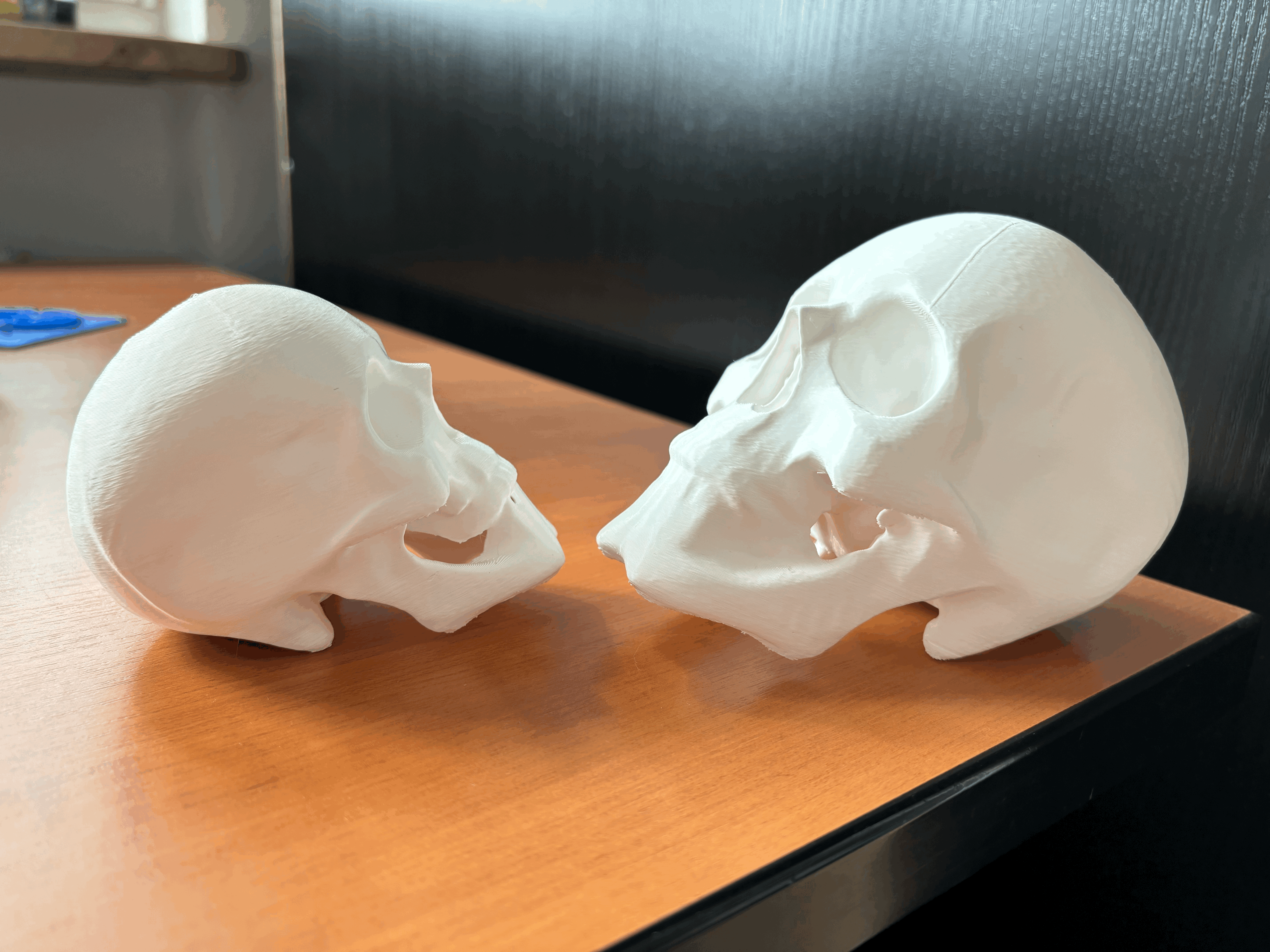 Mô Hình Đầu Lâu - Thumbnail 3