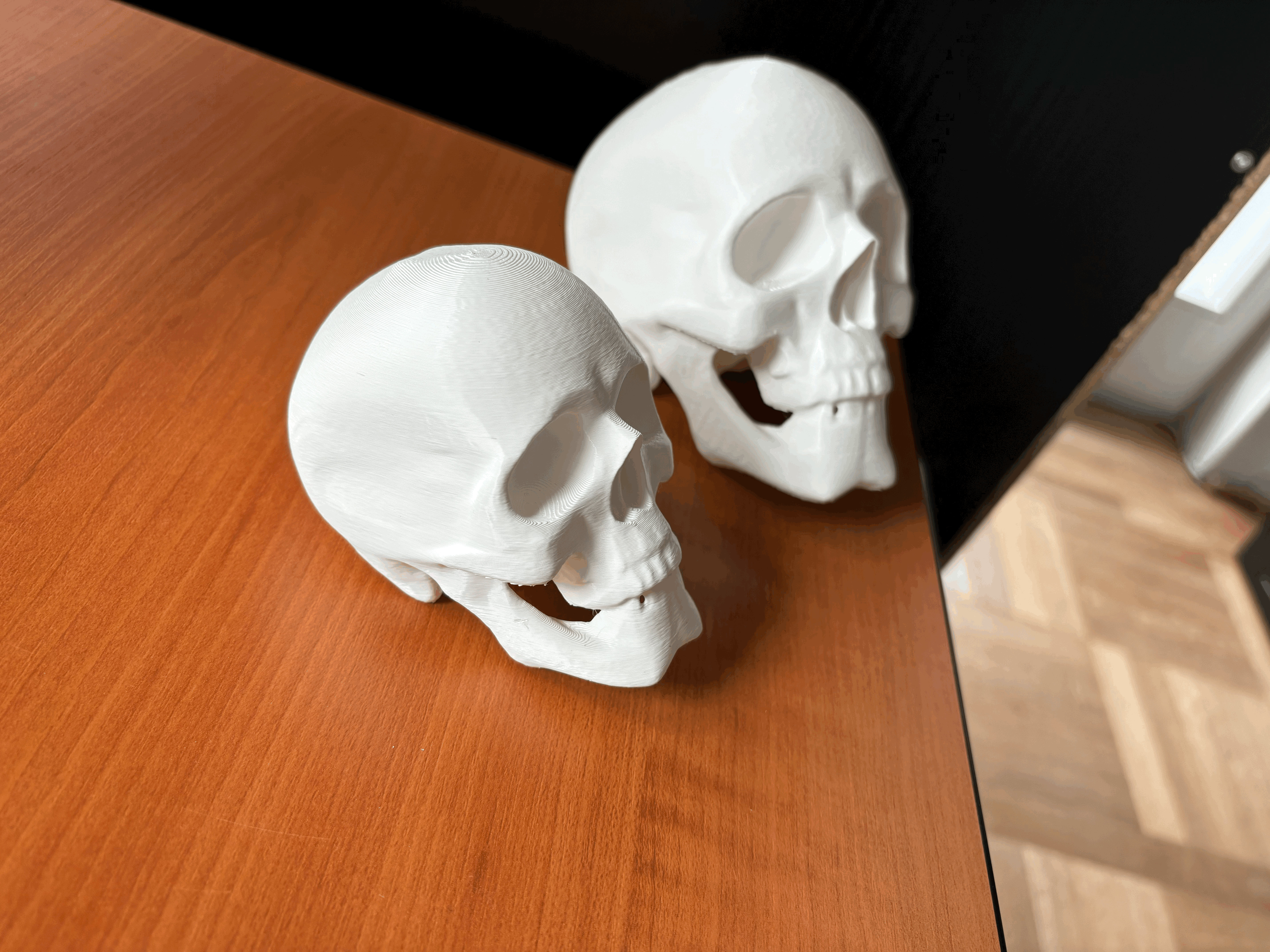 Mô Hình Đầu Lâu - Thumbnail 6