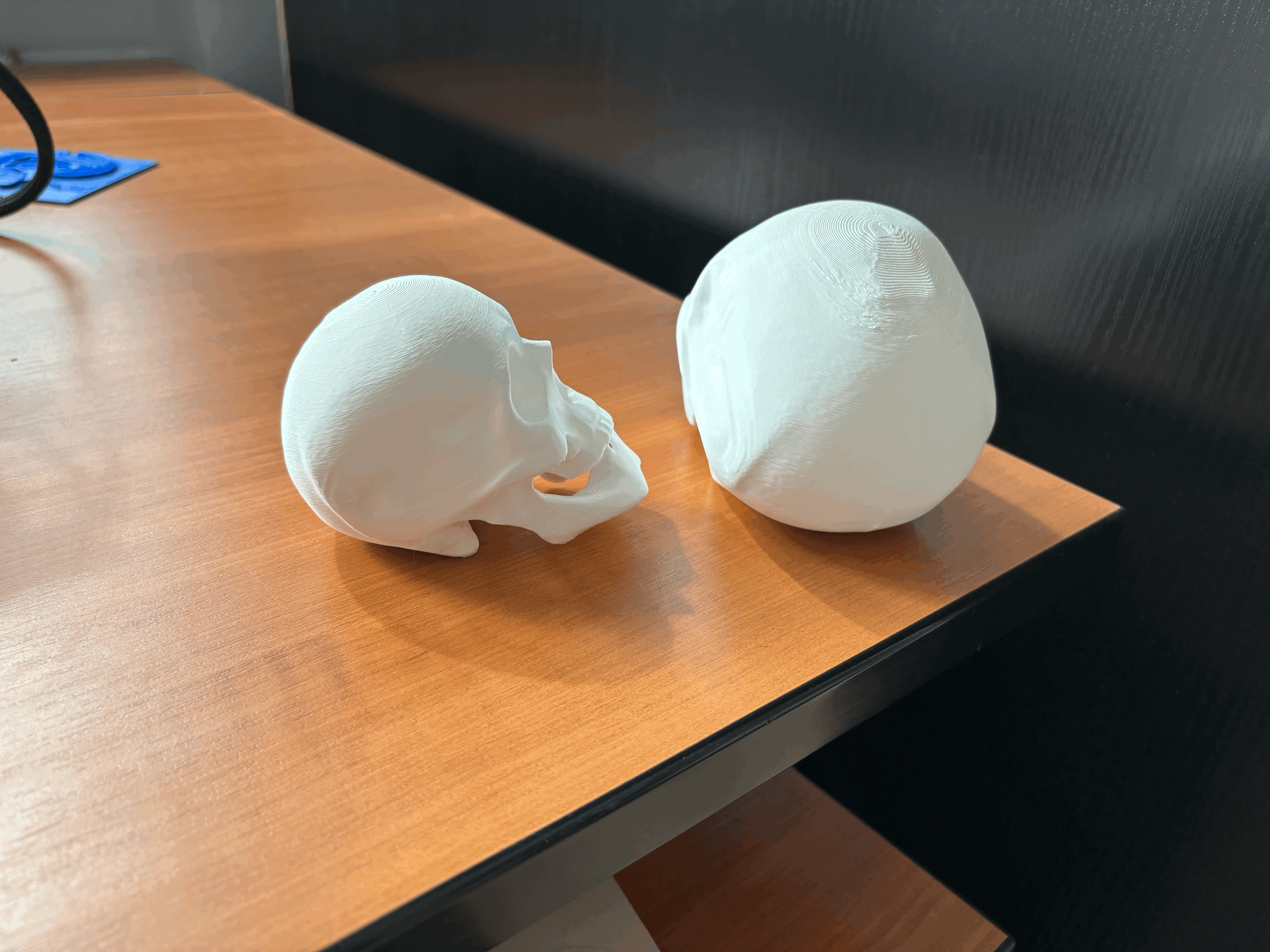 Mô Hình Đầu Lâu - Thumbnail 7