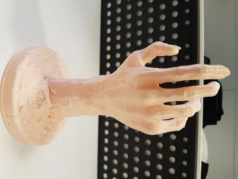 Mô hình Bàn Tay Zombie - Image 16