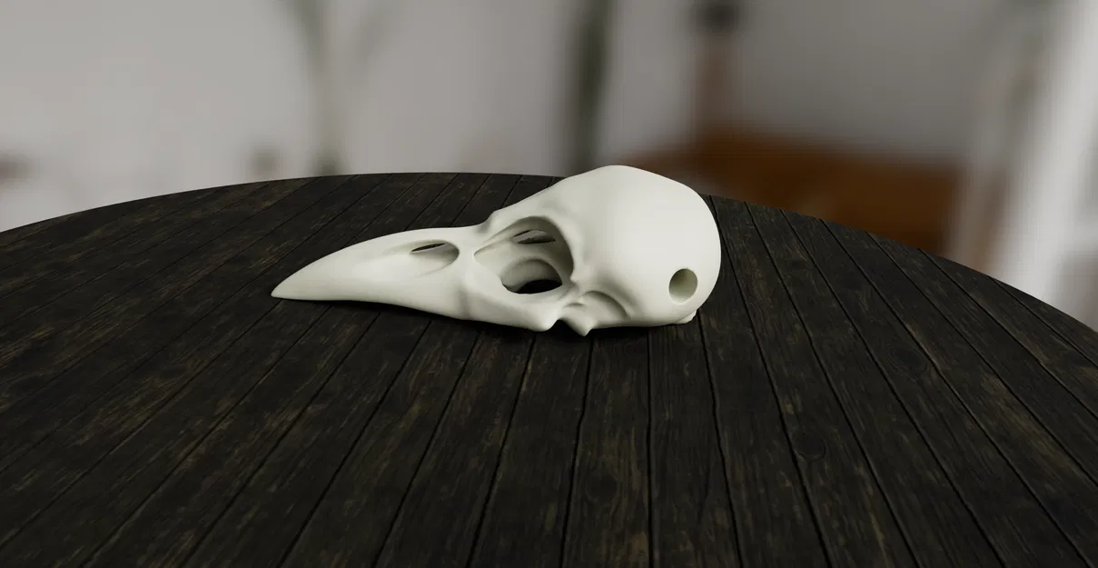 Mặt Dây Chuyền Hộp Sọ Quạ - Image 2