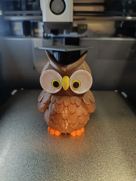 Quà Tặng Cú / Tốt Nghiệp Tri Ân Thầy Cô - Image 3