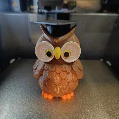 Quà Tặng Cú / Tốt Nghiệp Tri Ân Thầy Cô