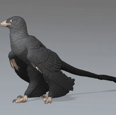 Mô hình Microraptor