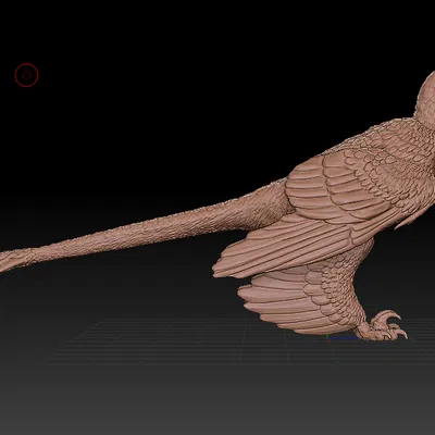 Mô hình Microraptor