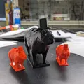 Giá đỡ ống NMR Capybara (3x, 12x) - Thumbnail 2