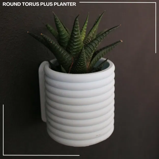 Chậu Tròn Torus Plus / Bình Hoa - Image 1