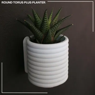 Chậu Tròn Torus Plus / Bình Hoa