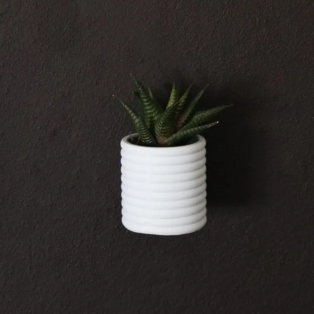 Chậu Tròn Torus Plus / Bình Hoa - Image 2