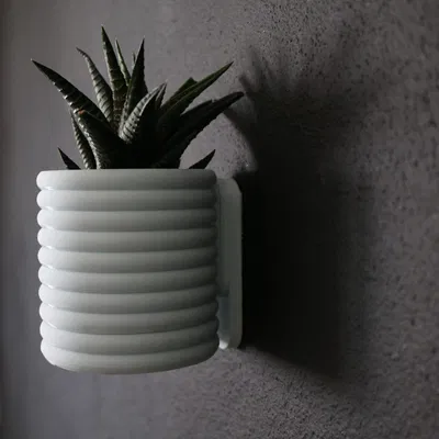 Chậu Tròn Torus Plus / Bình Hoa