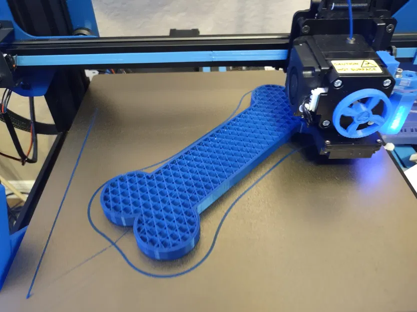 Mô hình Xương Chó Nhai TPU - Image 3