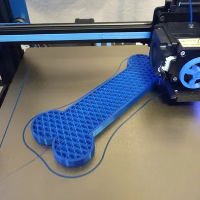 Mô hình Xương Chó Nhai TPU