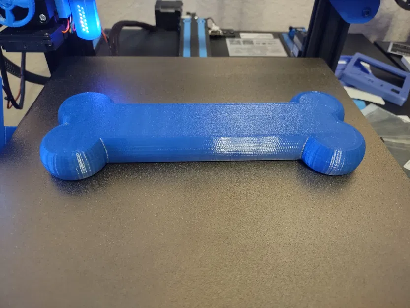 Mô hình Xương Chó Nhai TPU - Image 5