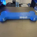 Mô hình Xương Chó Nhai TPU - Thumbnail 5